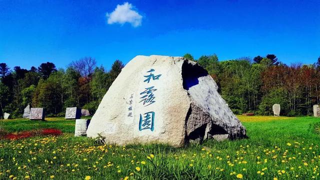 花语月